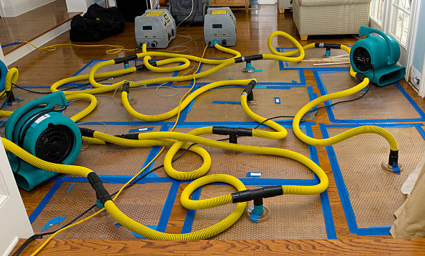 Professional Emergency Water Removal technician working in Stewartsville, MO